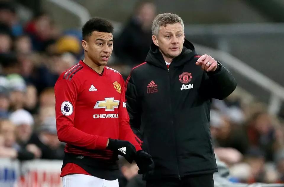 迷社交媒体 迷社交媒体